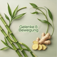 Gelenke &amp; Bewegung