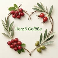 Herz &amp; Gefäße