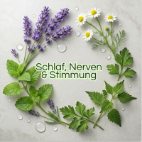 Schlaf, Nerven &amp; Stimmung
