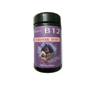 Vitamin B-12 Pastillen mit Xylit