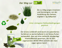 Grüne Lichtkraft Bio-GrasSAFTpulver 450g