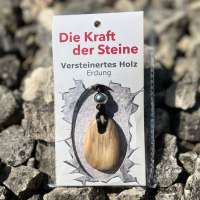 Kraftstein-Anhänger versteinertes Holz (Erdung)